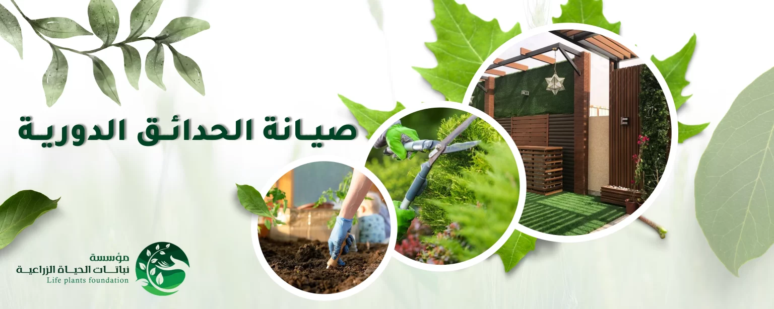 صيانة الحدائق الدورية الاحترافية في المملكة العربية السعودية - مؤسسة نباتات الحياة