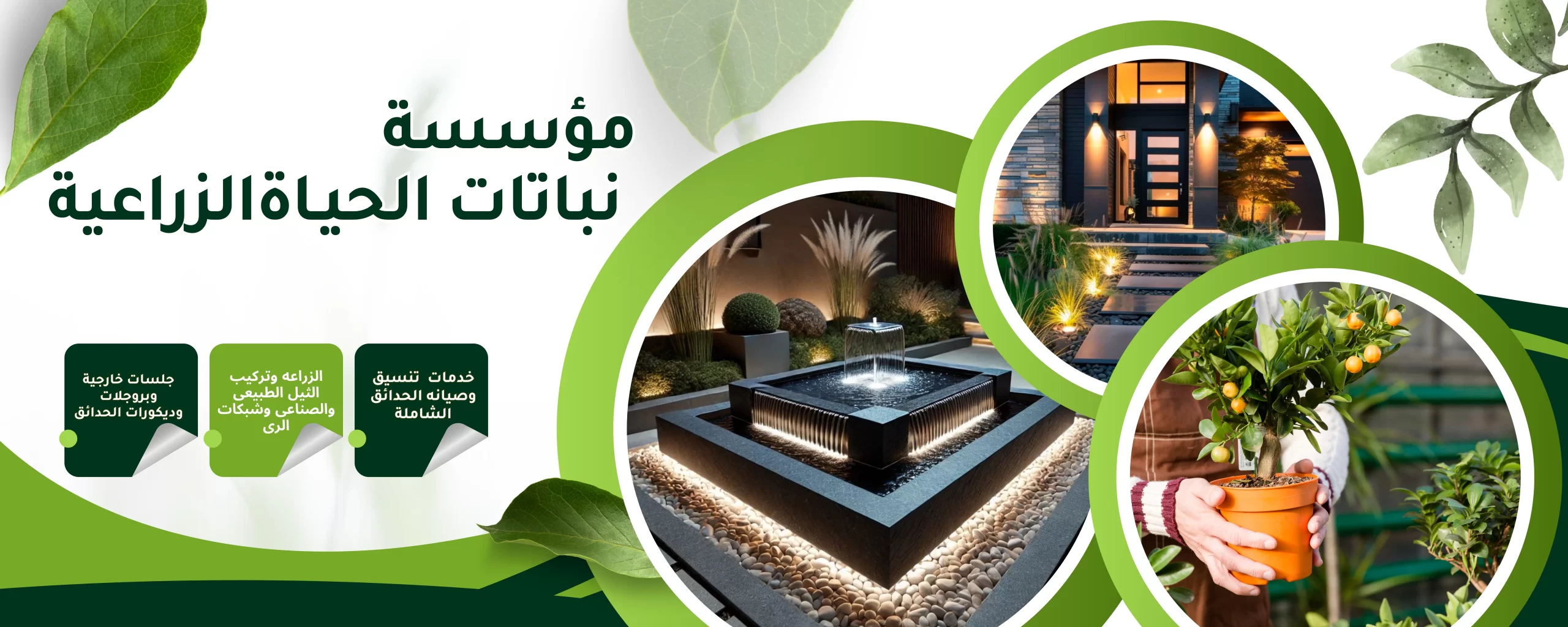 أفضل مؤسسة نباتات الحياة الزراعية بالمملكة العربية السعودية