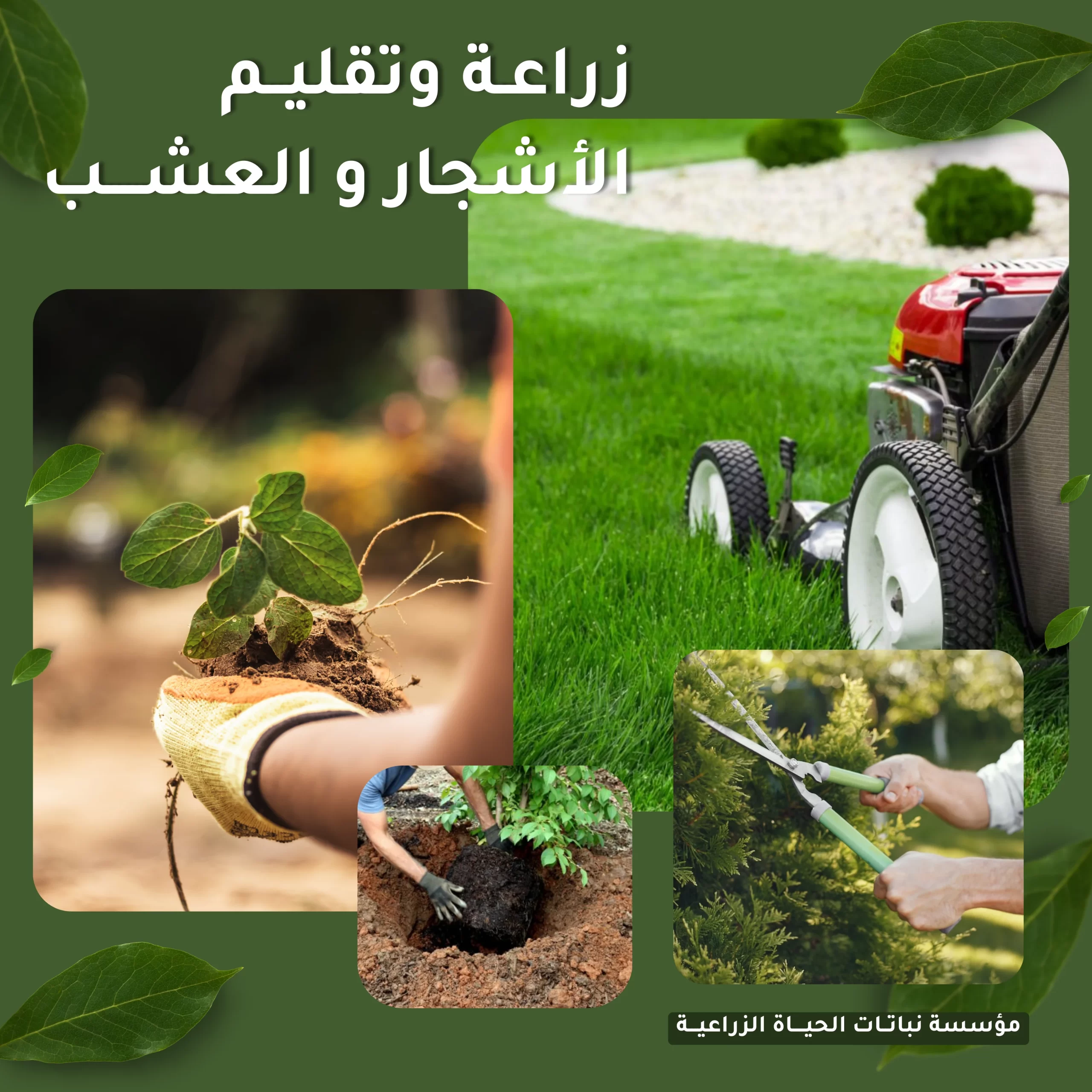زراعة وتقليم الأشجار والعشب في الحدائق