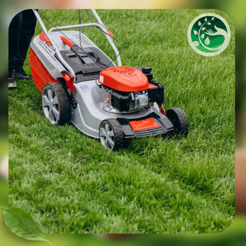 صيانة حدائق المنزل