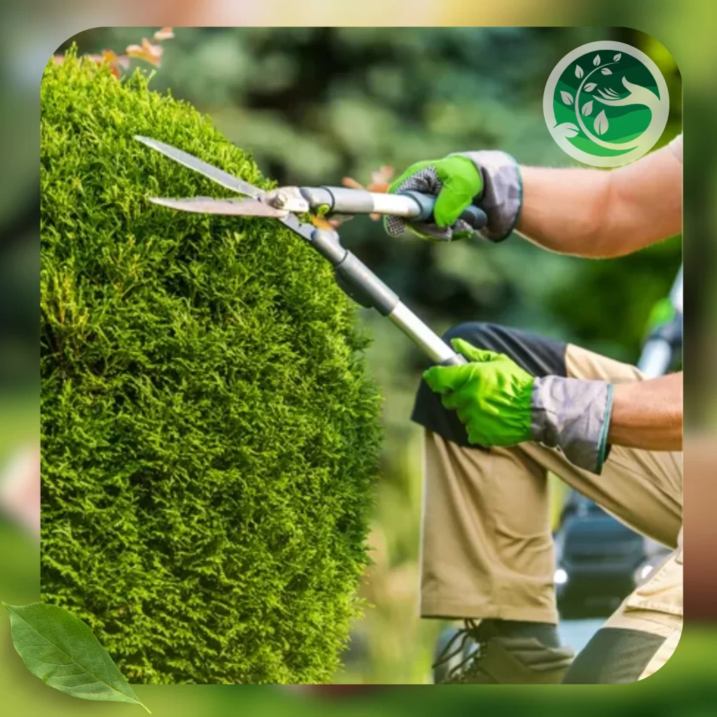 تشذيب الأشجار