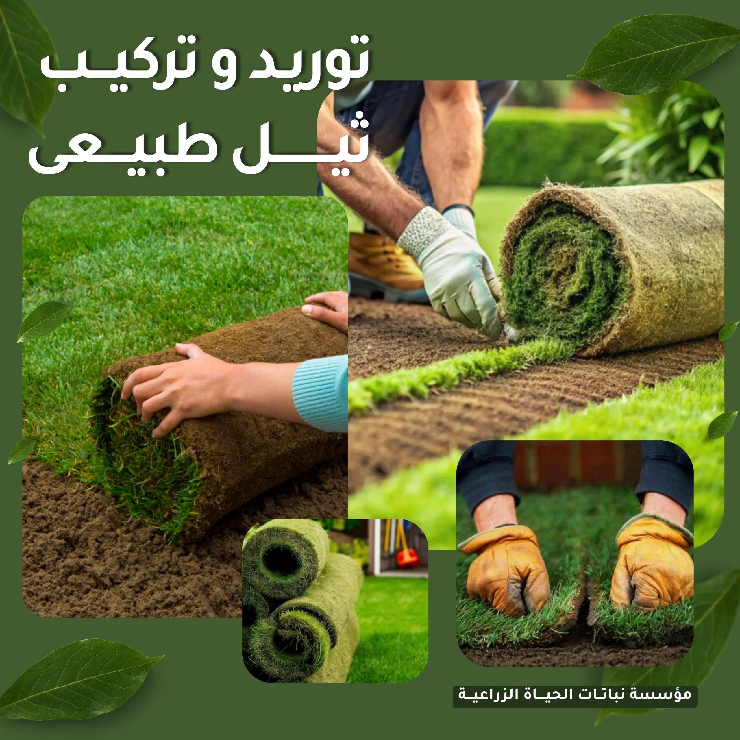 توريد وتركيب ثيل طبيعي — نباتات الحياة الزراعية