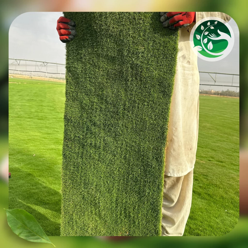 تركيب ثيل طبيعي