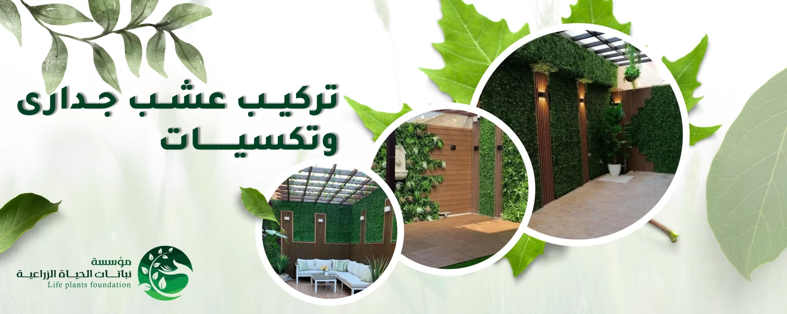 تركيب عشب جدارى وتكسيات