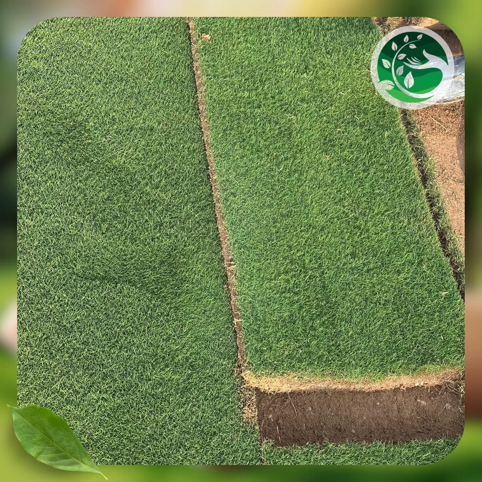 توريد وتركيب ثيل طبيعى 1