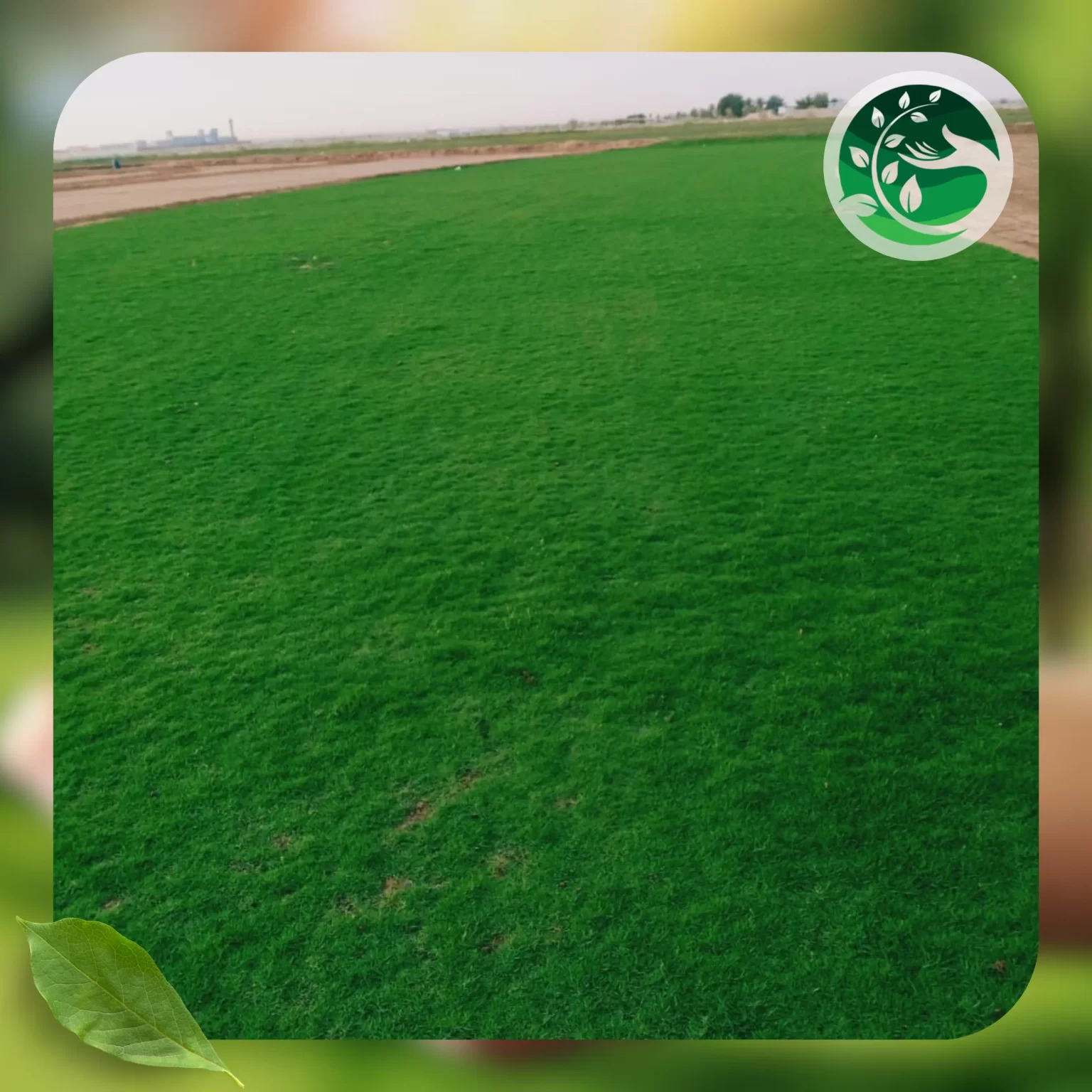 توريد وتركيب ثيل طبيعى 2