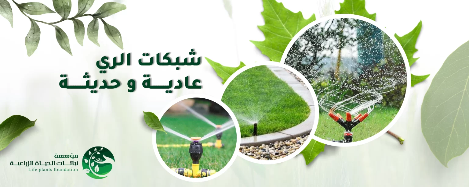 شبكات الرى عادية وحديثة