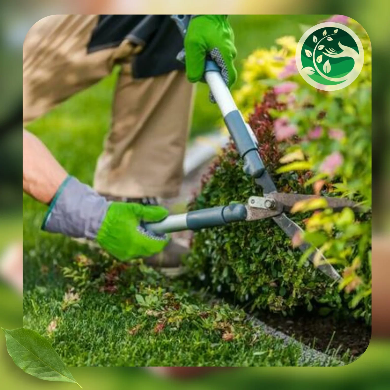 صيانة الحدائق 2