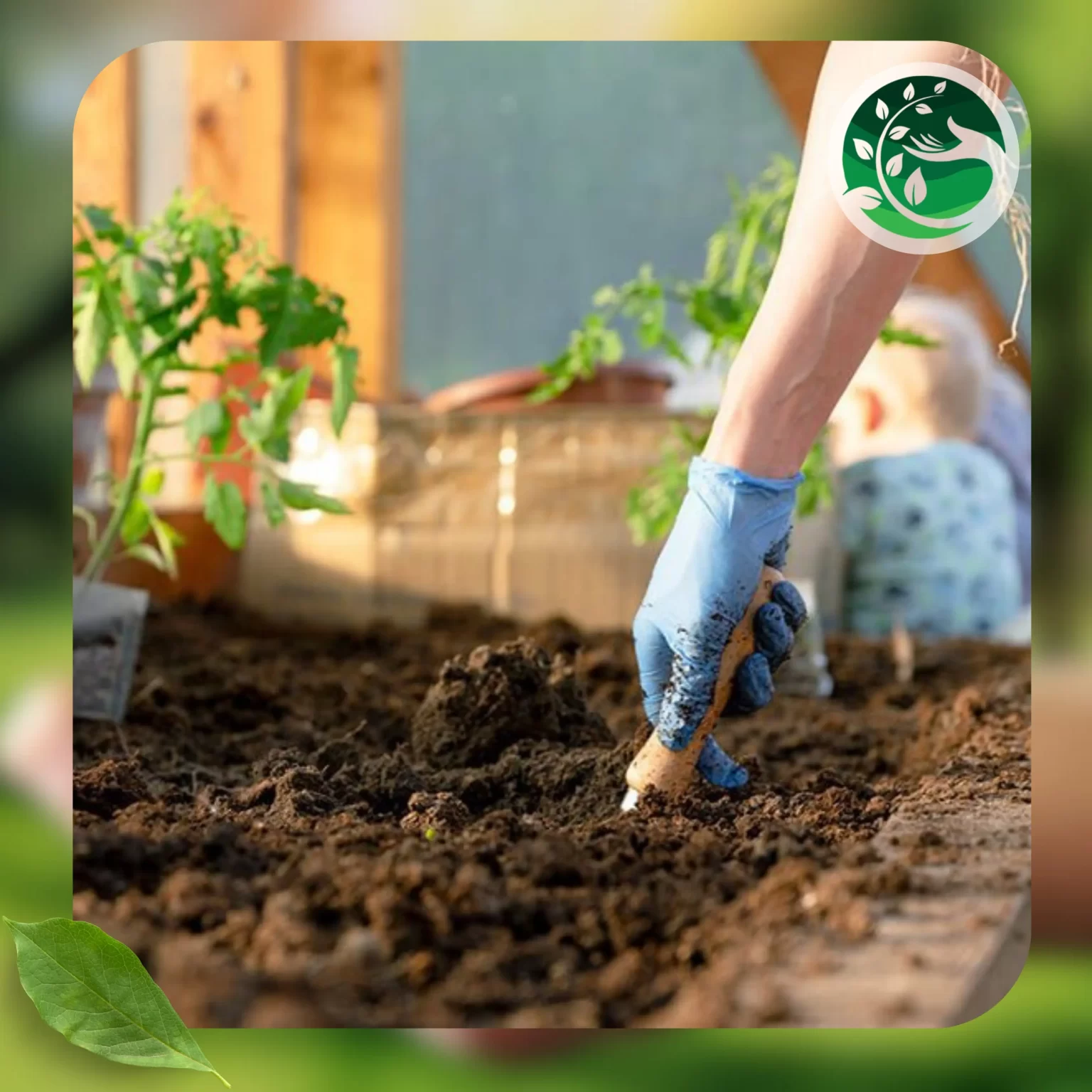 صيانة الحدائق 3