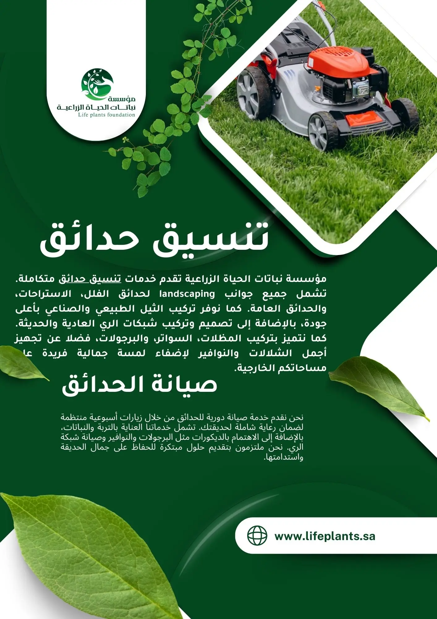 بروفايل المؤسسة