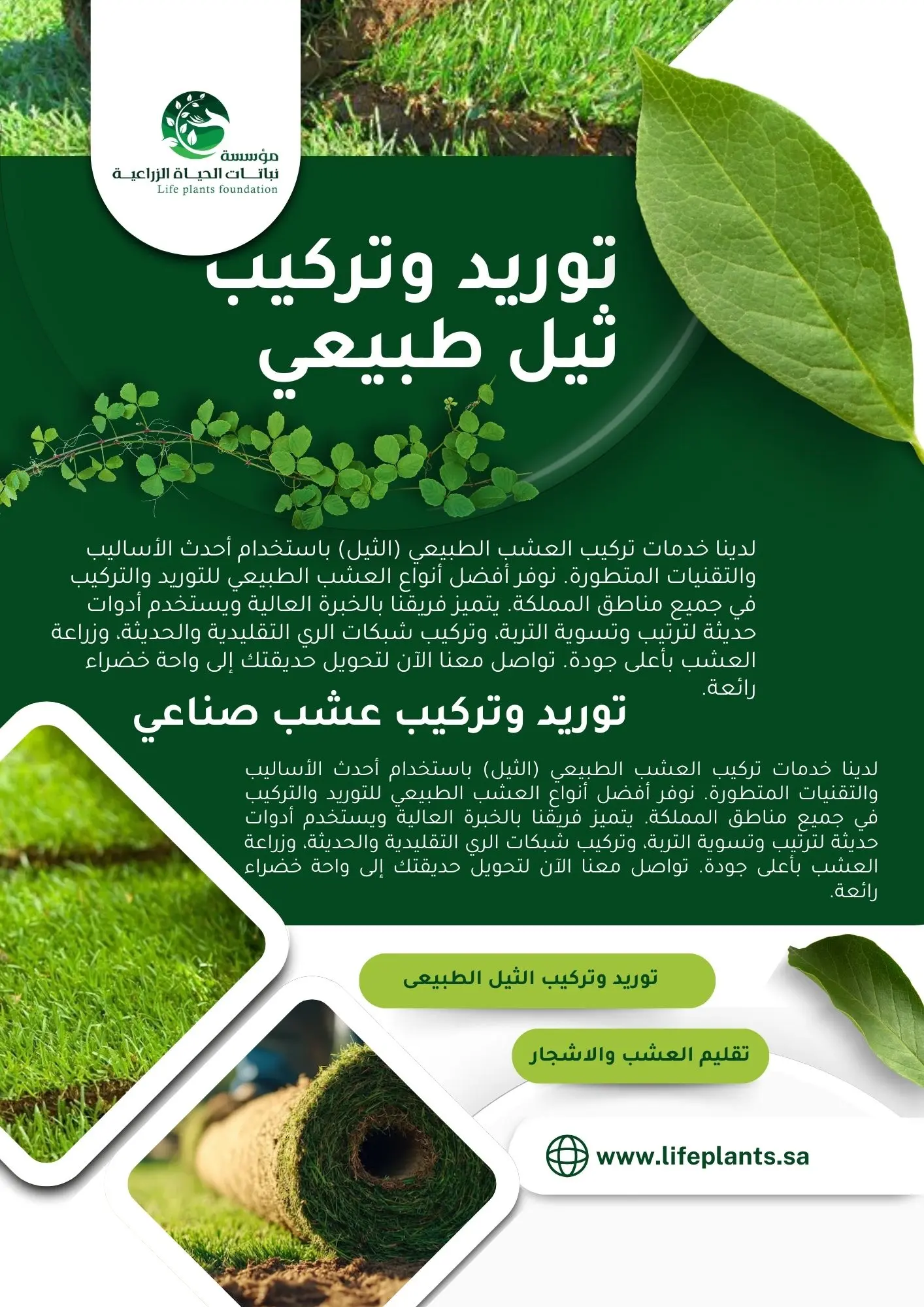 خدمات مؤسسة نباتات الحياة