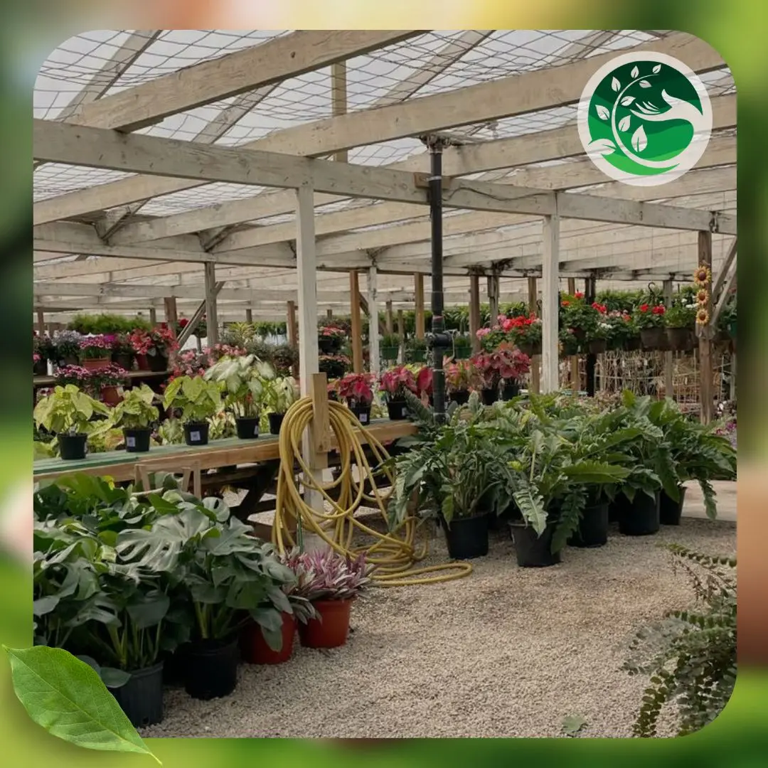 توريد نباتات داخلية