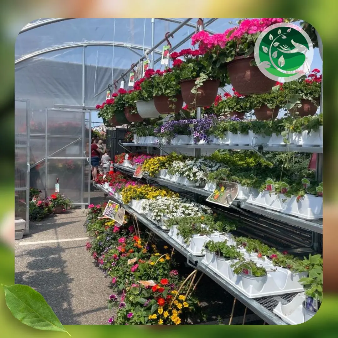 توريد زرع داخلي