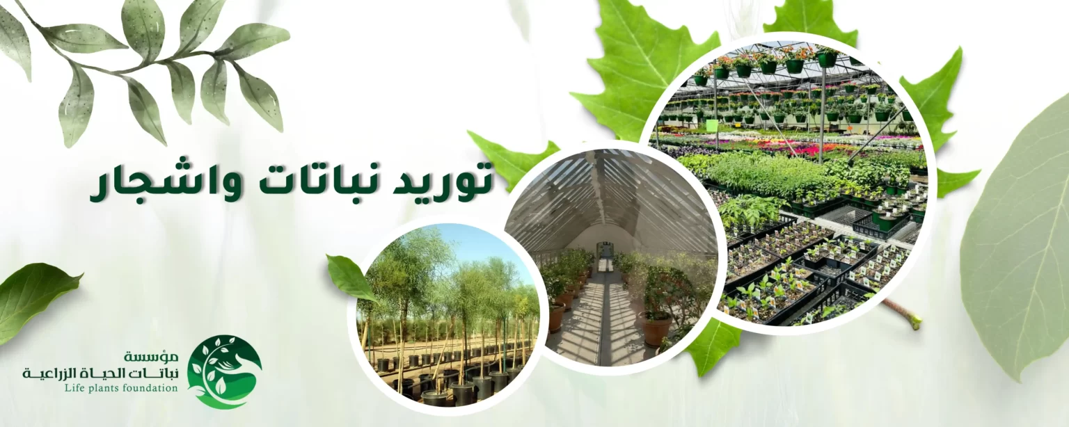 طلب توريد نباتات وأشجار