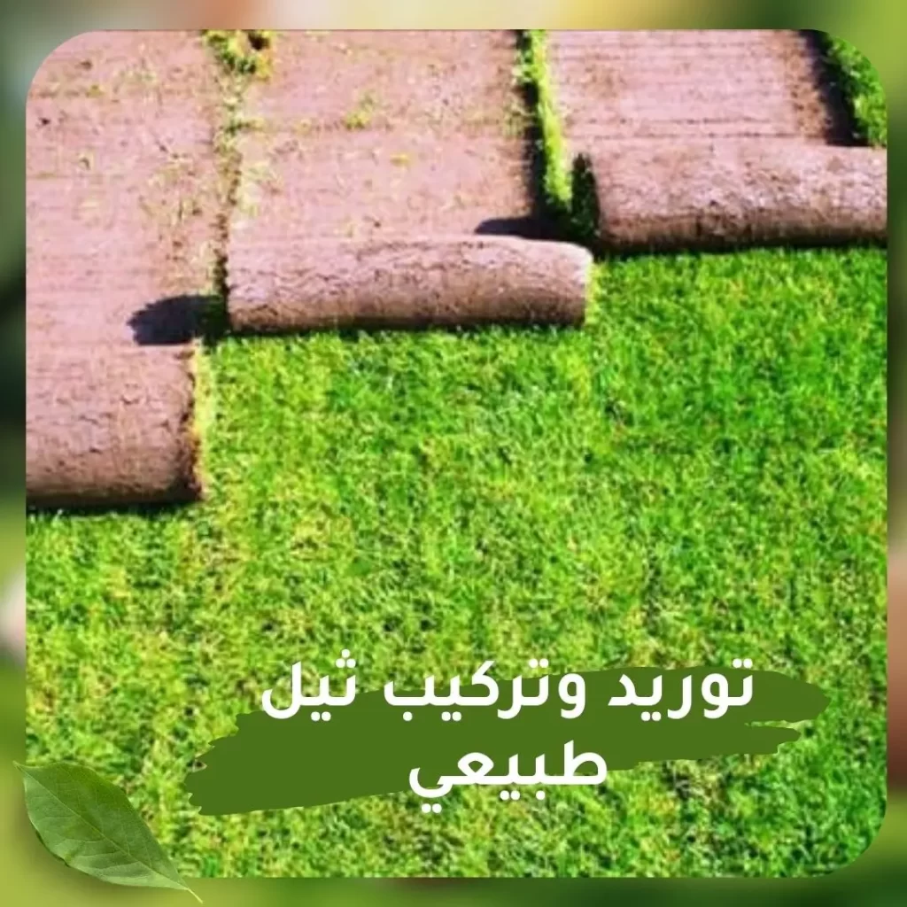 توريد وتركيب ثيل طبيعى 2