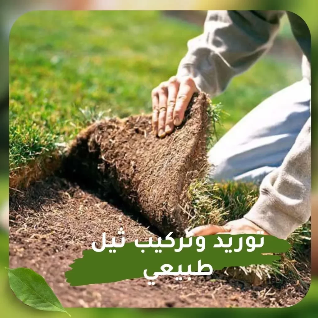 توريد وتركيب ثيل طبيعى 3