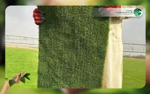 الثيل الطبيعي الياباني 3