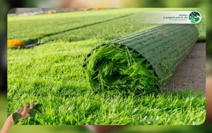 العشب الصناعي 3