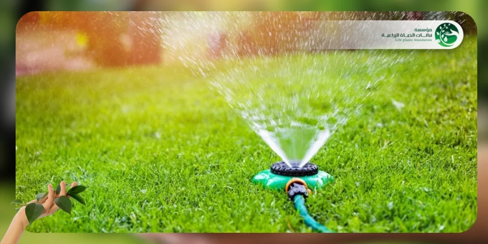 تركيب شبكات الري 1