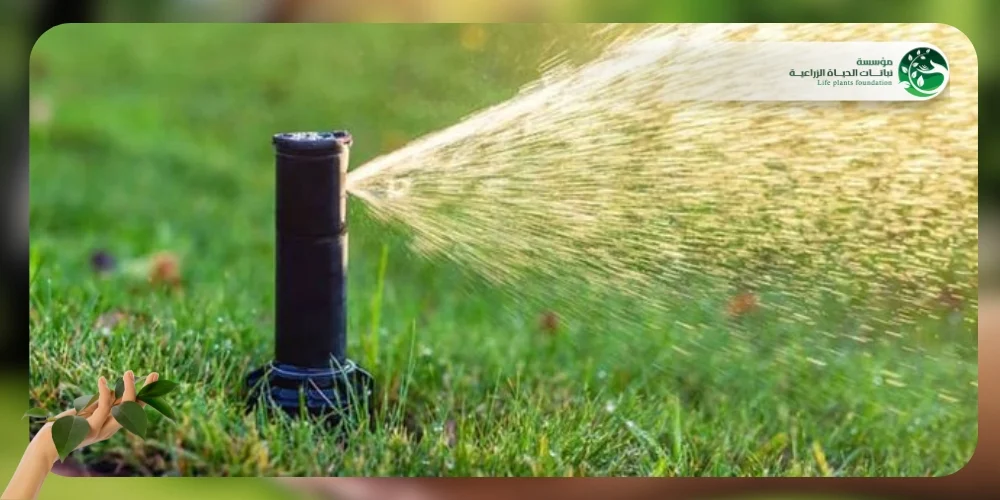 تركيب شبكات الري 2