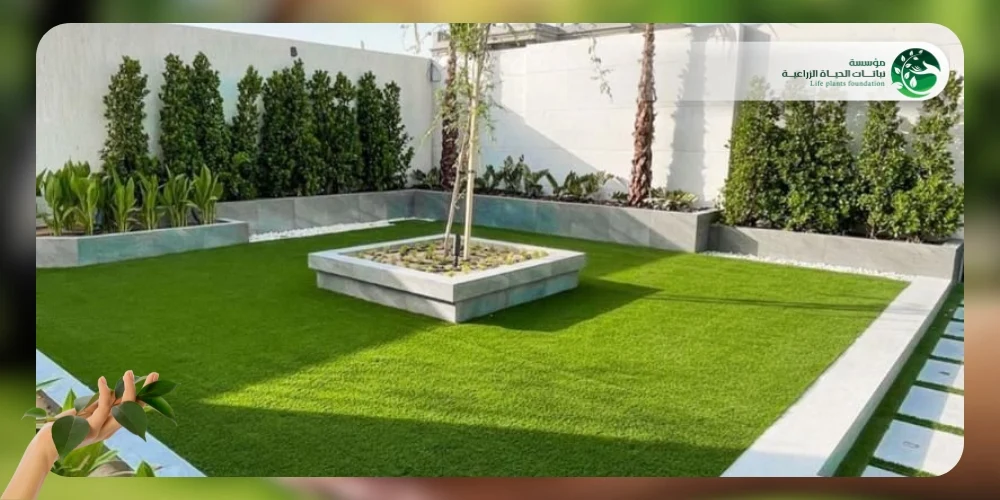 تنسيق حدائق المنزل ٣